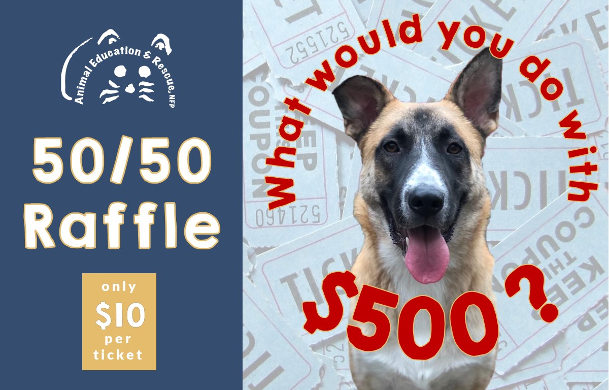 5050 small AEAR 50/50 Raffle