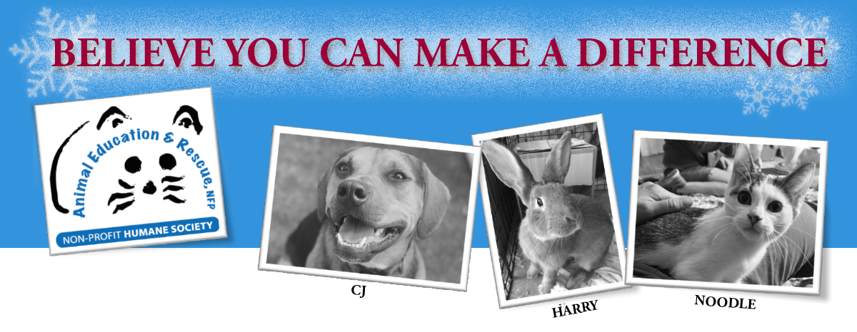Holiday Fund Drive - Animal Education & Rescue Holiday Fund Drive - Animal Education & Rescue