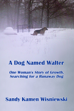 a-dog-named-walter-by-sandy-kamen-wisniewski