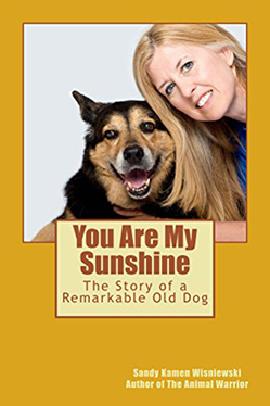 you-are-my-sunshine-by-sandy-kamen-wisniewski
