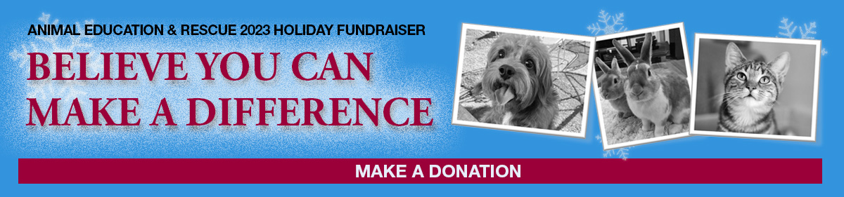 2023 AEAR Annual Holiday Fundraiser