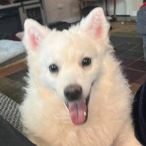 Colton